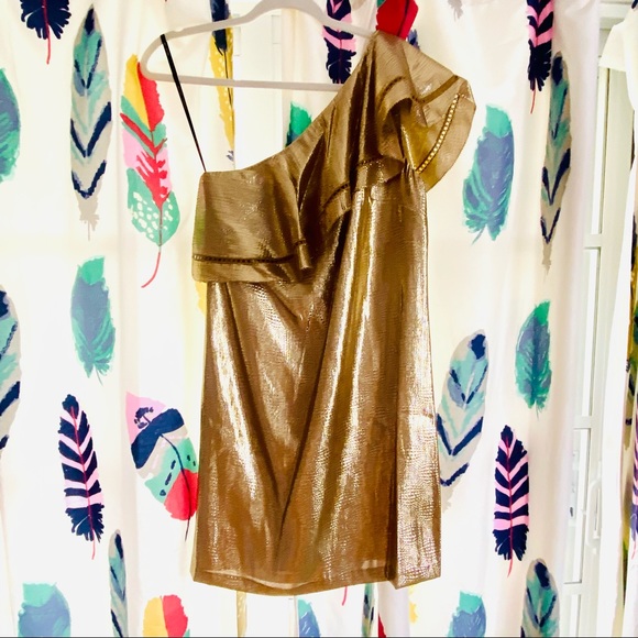 Rachel Zoe Ruffled One-Shoulder Jacquard Dress NWT - Picture 15 of 16